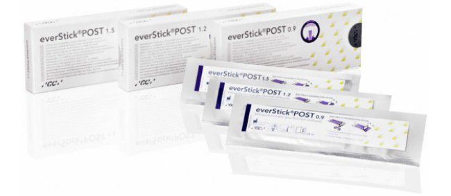 GC EVERSTICK POST