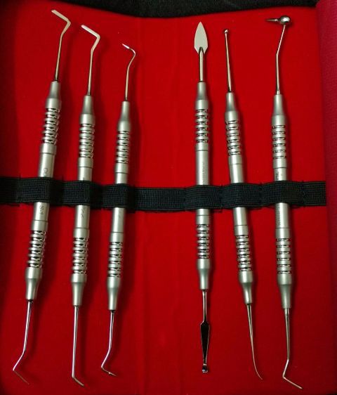 GDC COMPOSITE INSTRUMENT NON TITANIUM SET OF 6 IN POUCH CINTS6 (CINTS6)